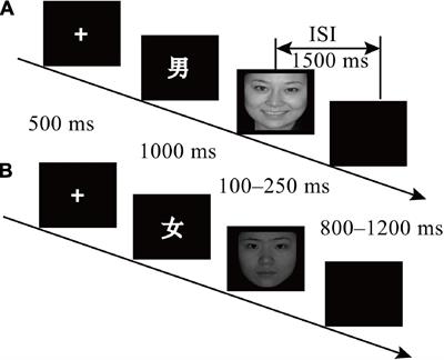 The Automatic Emotion Regulation of Children Aged 8–12: An ERP Study